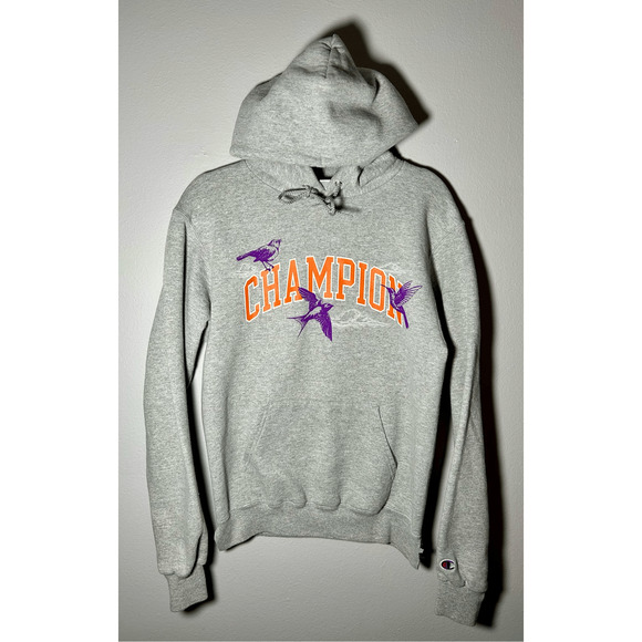 Vintage Champion Urban Outfitters Songbird Gray Hoodie Sz Small Rare - Picture 1 of 11